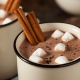 Vegan chocolate drink with marshmallows